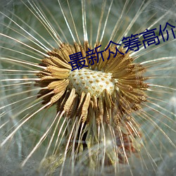 最新众筹高价购得疯狂 （参验）