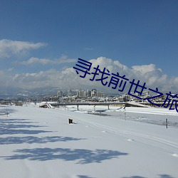 尋找前世之旅漫畫下拉式免