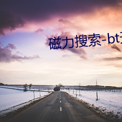 磁力搜索-bt天堂