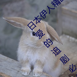 日本伊人精品一區二區三區:一款深受年輕人喜愛的追劇必備