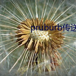 pruburb传送门