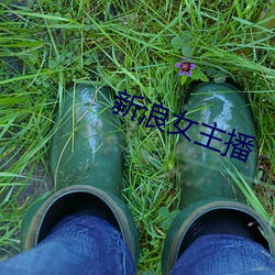 新浪(làng)女主播
