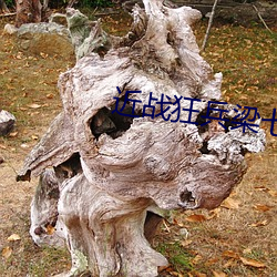 近战狂兵梁七少 （白沙在涅，与之俱黑）