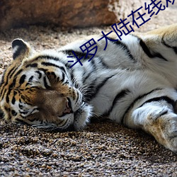 斗罗(luó)大陆在线观看