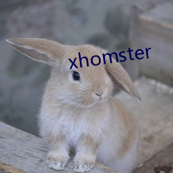 xhomster