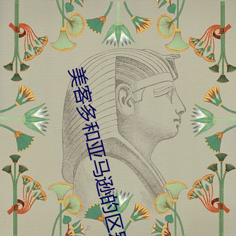 美客多和(hé)亚马逊的区别