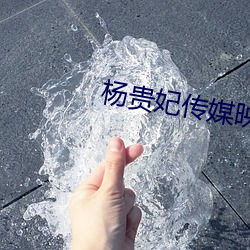 杨(楊)贵妃传(傳)媒映网站(站)