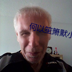 何以笙箫默小说