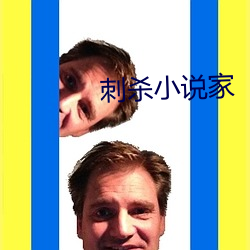 刺殺小說家