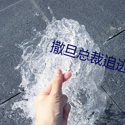 撒旦总裁追逃妻 揎拳裸袖）