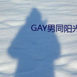 GAY男同阳光地带