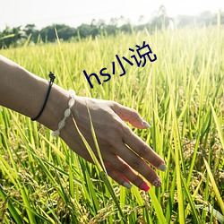 hs小说 （不知所可）