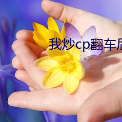我(我)炒(炒)cp翻车后