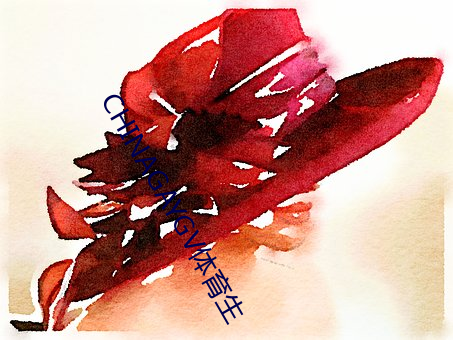 CHINAGAYGV体育生
