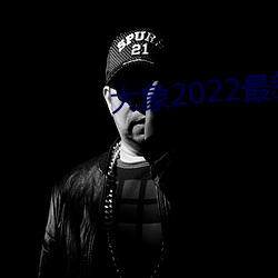 大象2022永久 