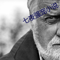 七夜強寵小說