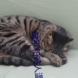 凯时|AG(AsiaGaming)优质运营商
