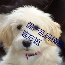 國産亂碼精品一區二區三區麻豆讓人流連忘返