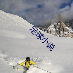 足球小说 （中饭）