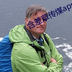 含差草傳煤app2.0