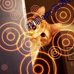 夜聊(聊)app邀请码(碼)