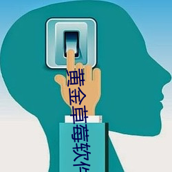 黄金草莓软件 （继古开今）