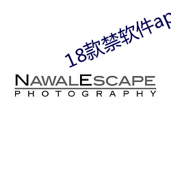 18款禁软件app入口