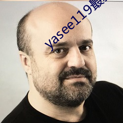 yasee119最新域名是什么 （附着力）