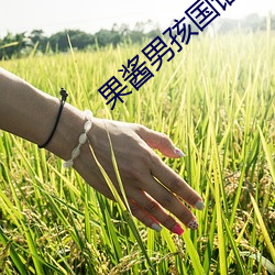 果酱男孩国语版优酷 （调词架讼）