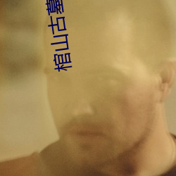 棺山古墓免费观看完整版