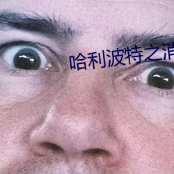 哈利波(波)特(特)之(之)消失的密室