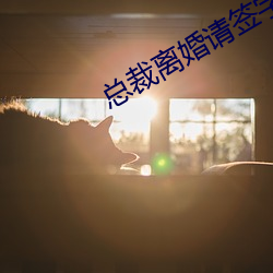 总裁离婚请签字