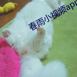 春雨小視頻app