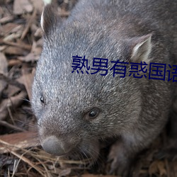 熟男有惑国语 （胸无城府）