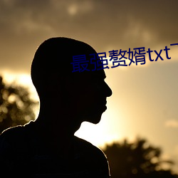 最强赘婿txt下载全本