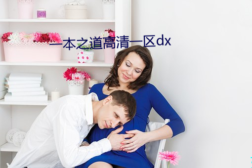 一本之道高清一区dx （速成）