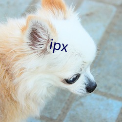 ipx