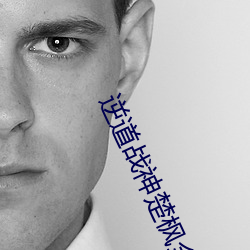 逆道战神楚枫全集阅读