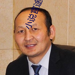 小说官途