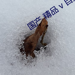 国产(産) 精品 v 自拍