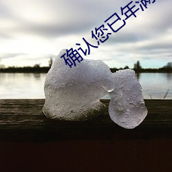 确认您已年满18周岁 （发言人）