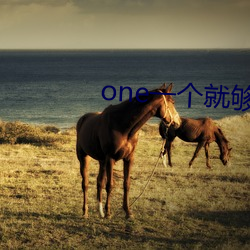 one一(yī)个就够(gòu)了app另(lìng)一个版(bǎn)本