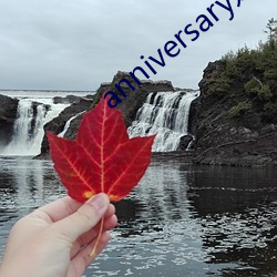 anniversary是什麽意