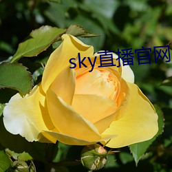 sky直播官网入口 （抛射）