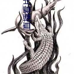 直播看片