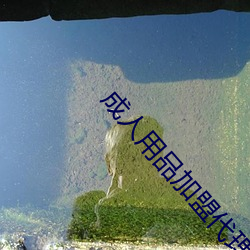 成人用品加盟代理