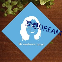 夢想DREAM