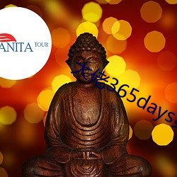 大佬(佬)365days第三部免费