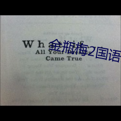 金瓶梅2国语完整版