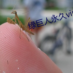 綠巨人永久vip破解版
